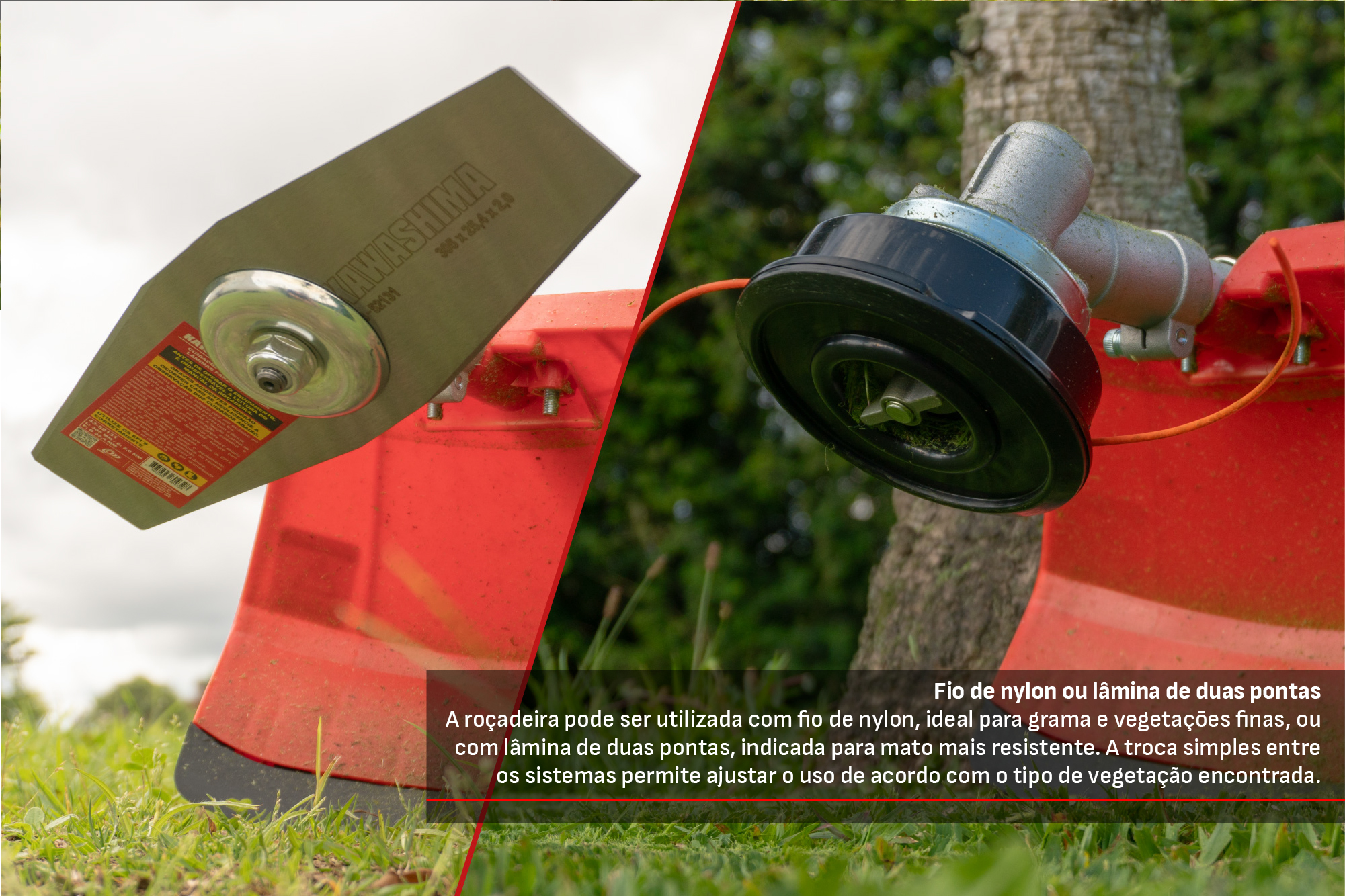 CCM do Brasil - Cód. 4301015